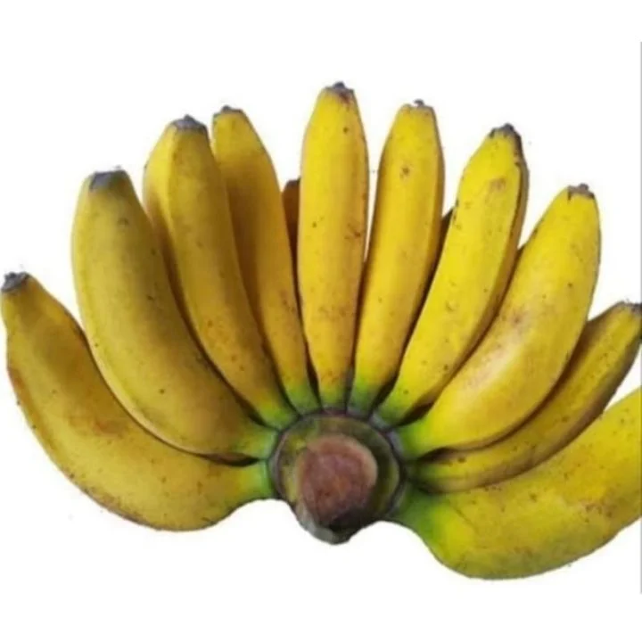 pisang raja sere