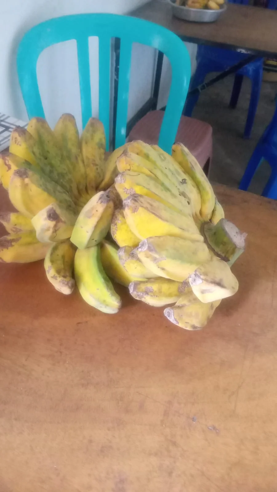 Pisang kepok