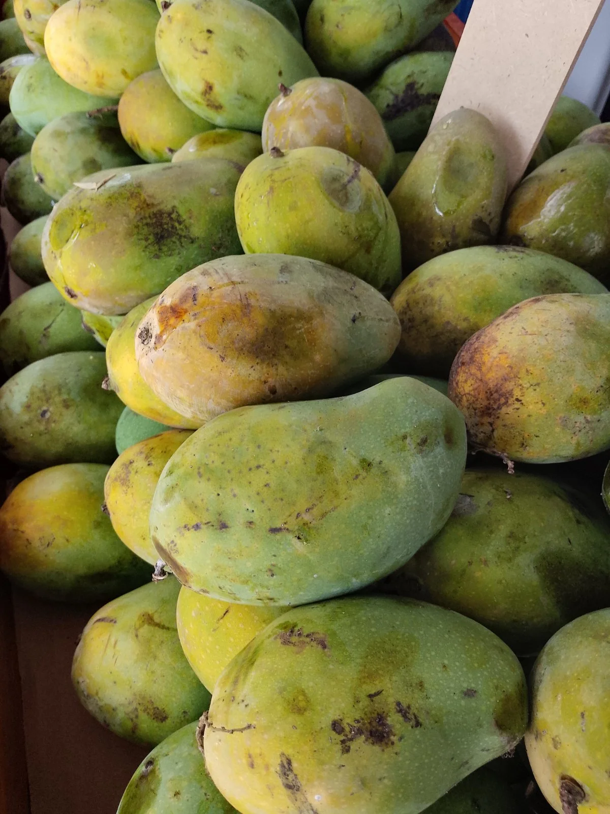 Mangga Harum manis